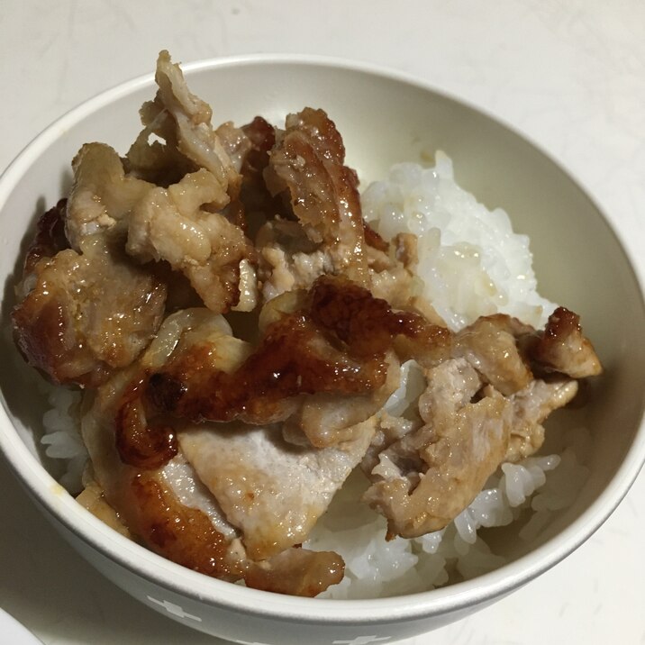 焼肉のタレで簡単！手軽にできる豚丼